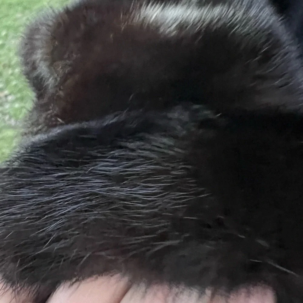 York Furrier Genuine Mink Fur Coat By Bill Blass Mahogany Stand Collar L/XL - Picture 10 of 15